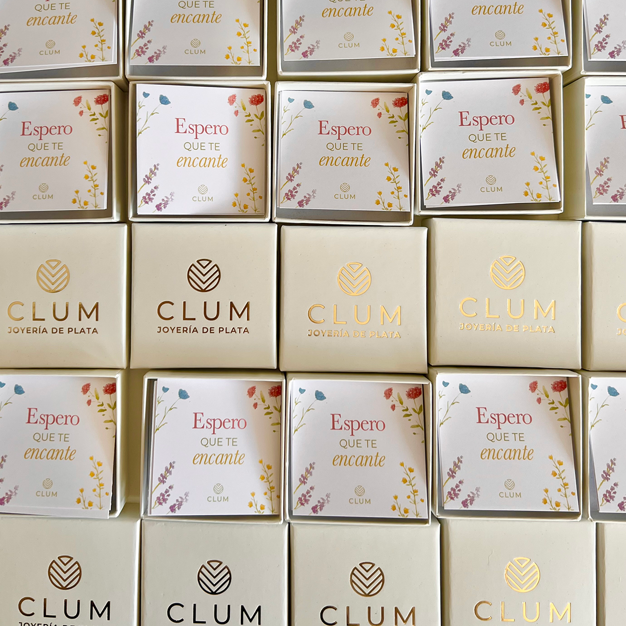 CLUM box