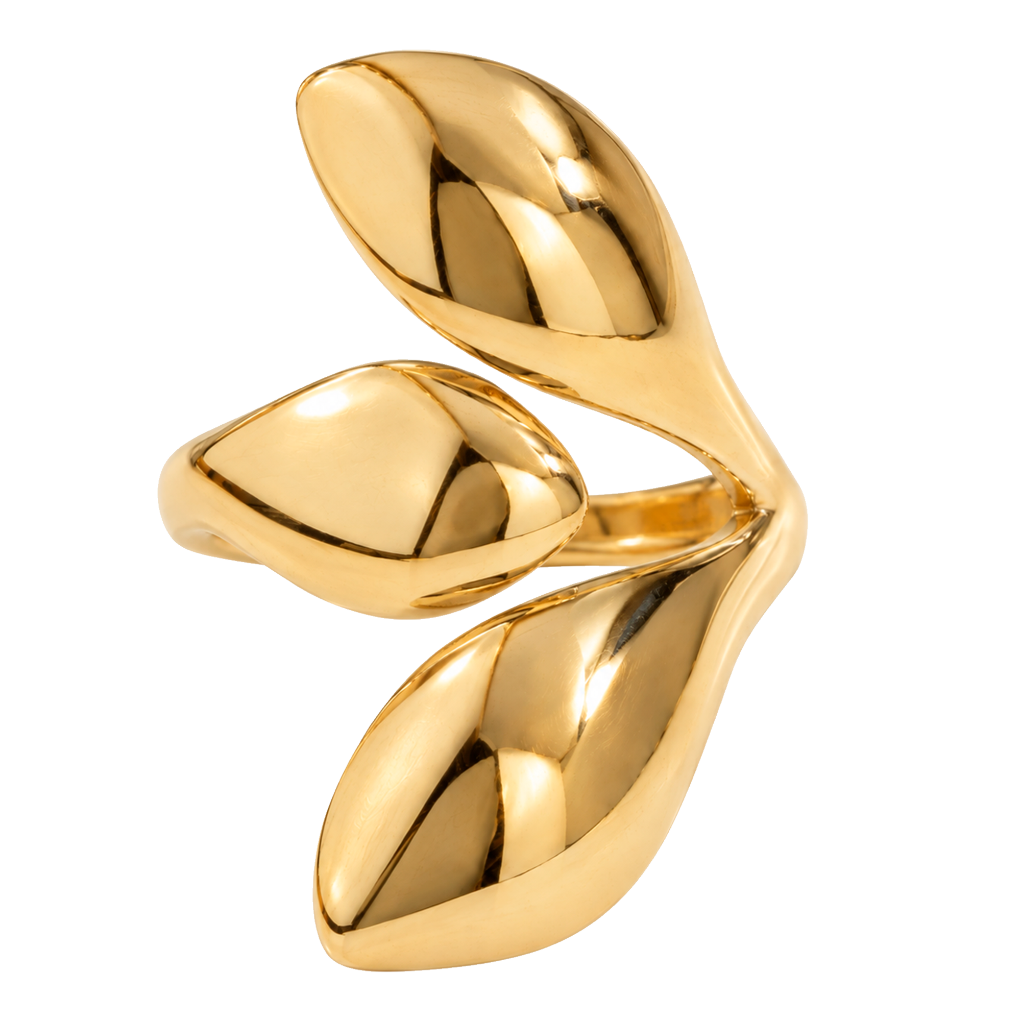 Anillo Elun Oro