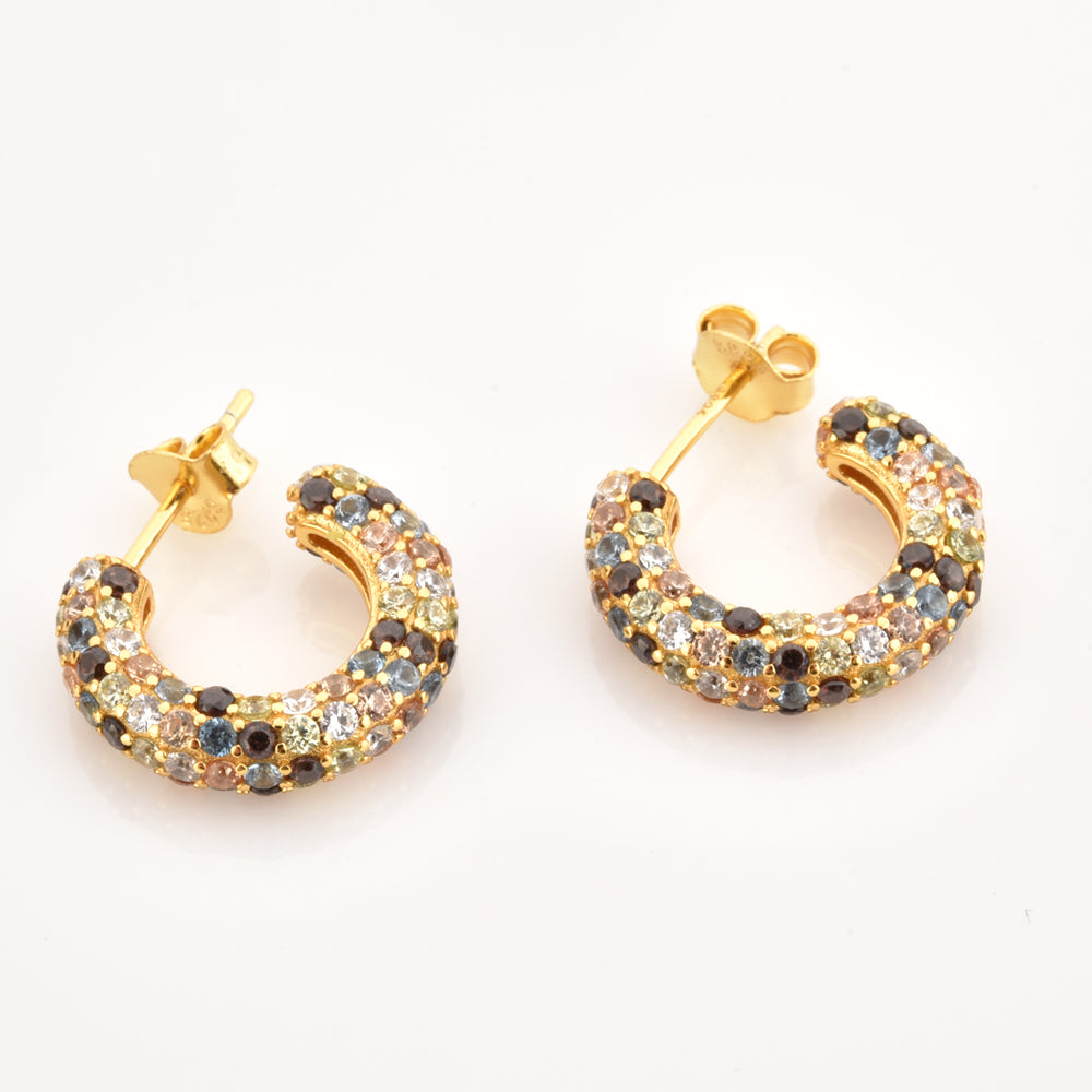 Elegant Gold Hoops 