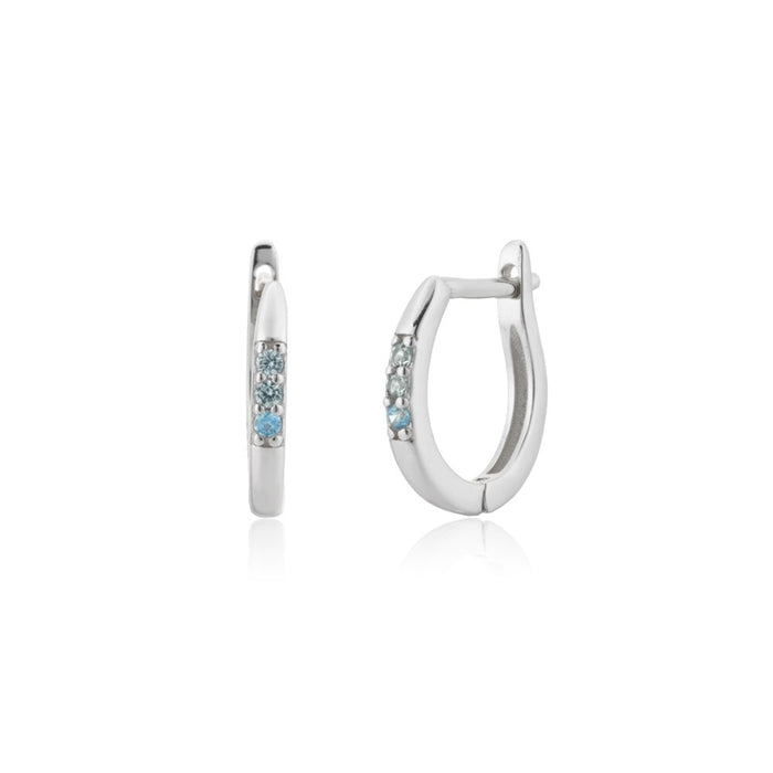 Silver Ocean Hoops