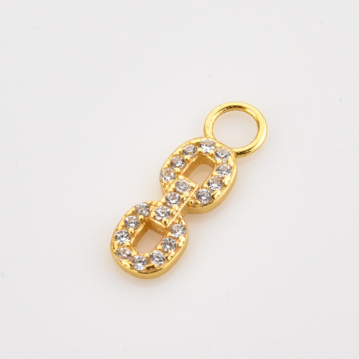 Shiny Chain Charm