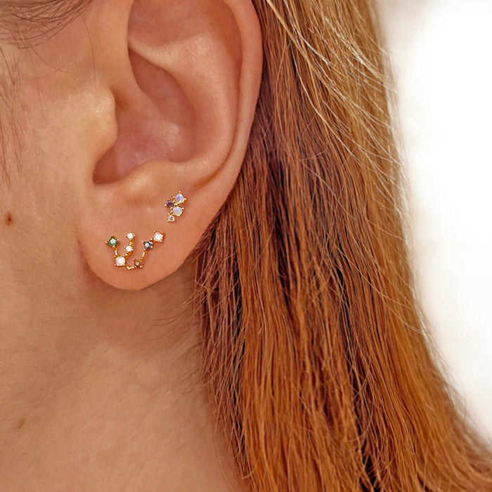 Colorful Zodiac Earrings 
