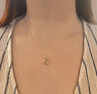 Gold Initial Colorful Necklace 