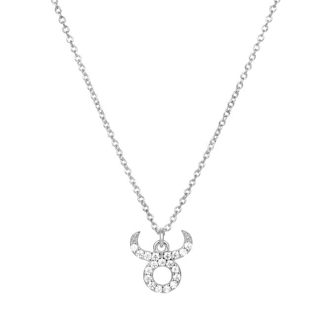 Silver Zodiac Necklace 