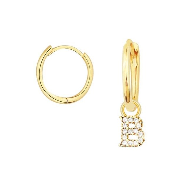 Gold Shiny You Earrings 