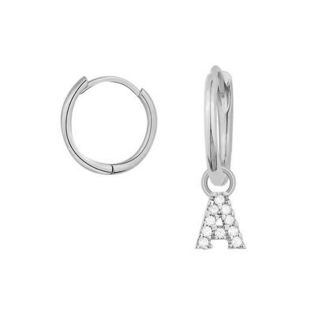 Silver Shiny You Earrings 