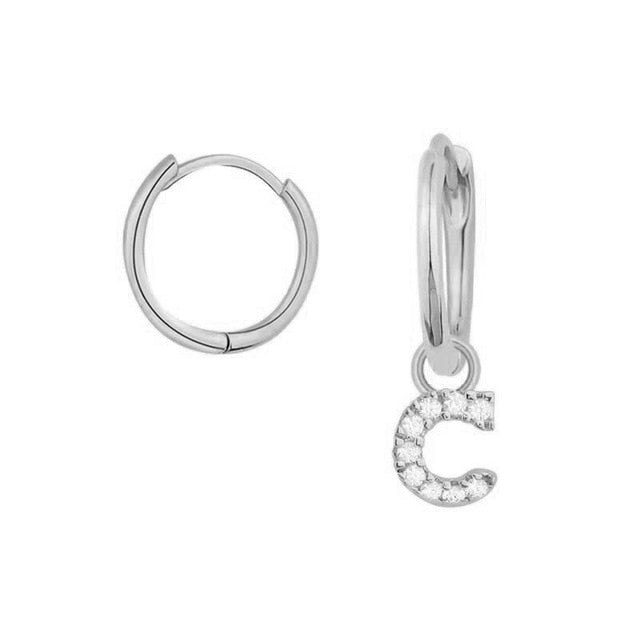 Silver Shiny You Earrings 