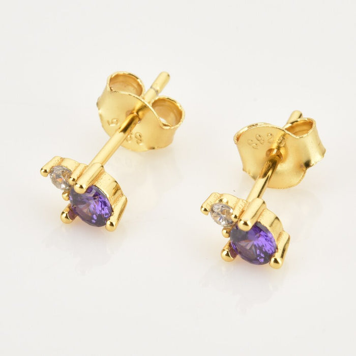 Earrings February 