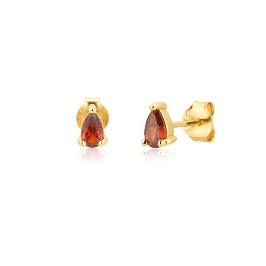 Red Drop Gold Earrings 