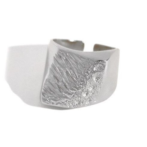 Anillo Montag Plata