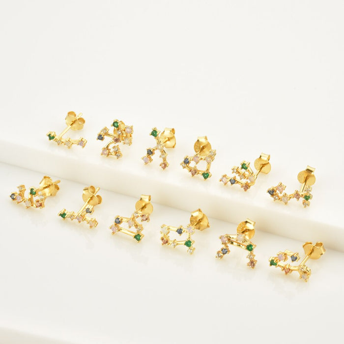 Colorful Zodiac Earrings 
