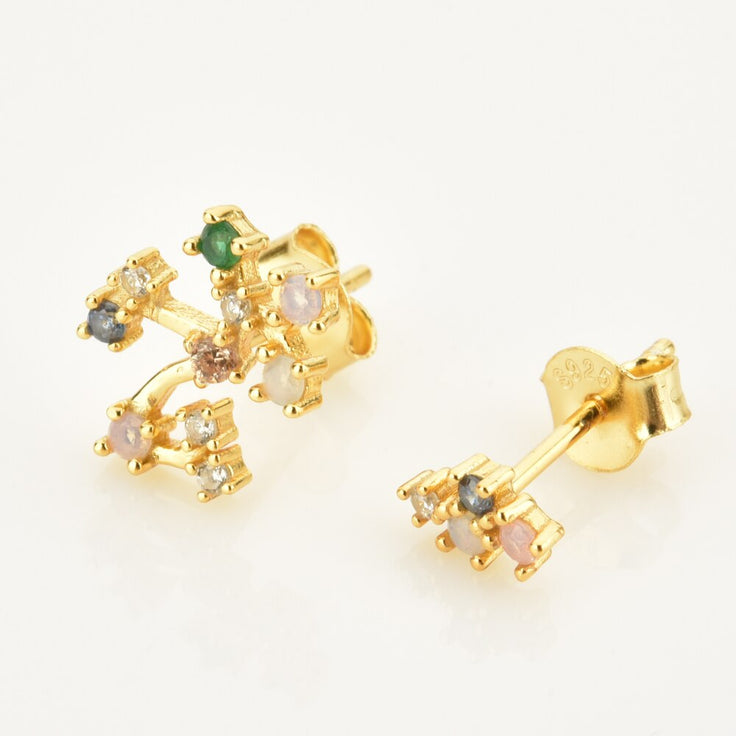 Colorful Zodiac Earrings 