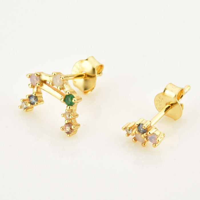 Colorful Zodiac Earrings 
