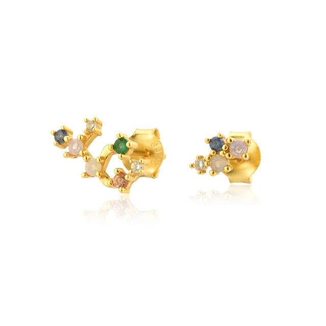 Colorful Zodiac Earrings 