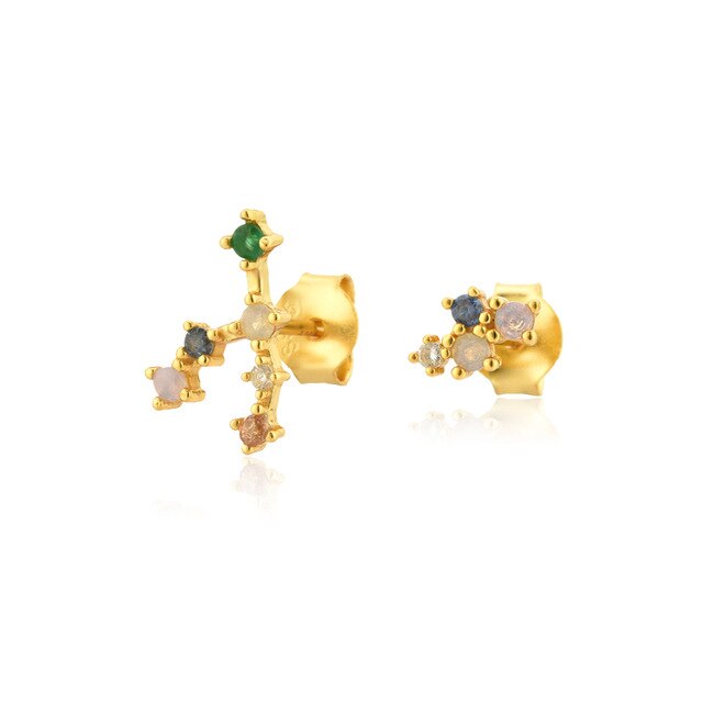 Colorful Zodiac Earrings 