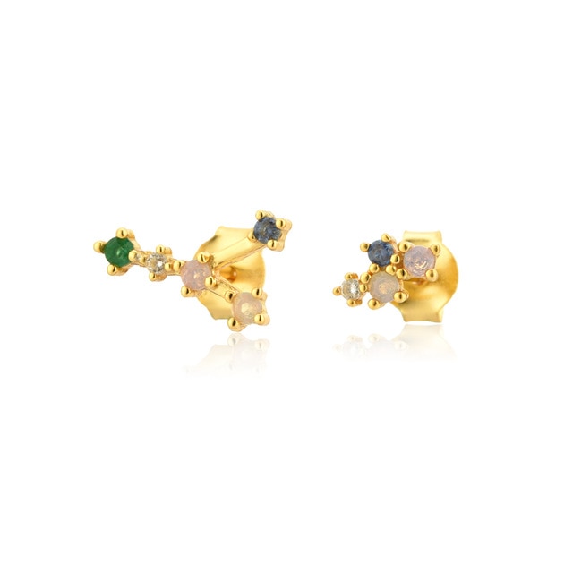 Colorful Zodiac Earrings 