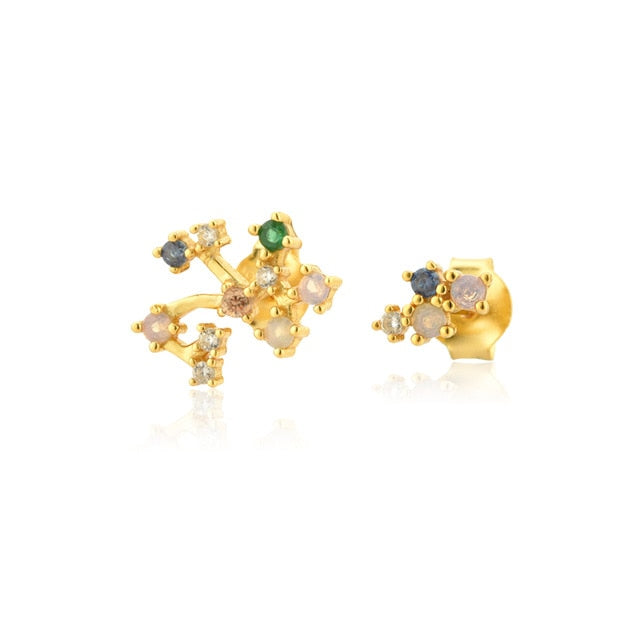 Colorful Zodiac Earrings 