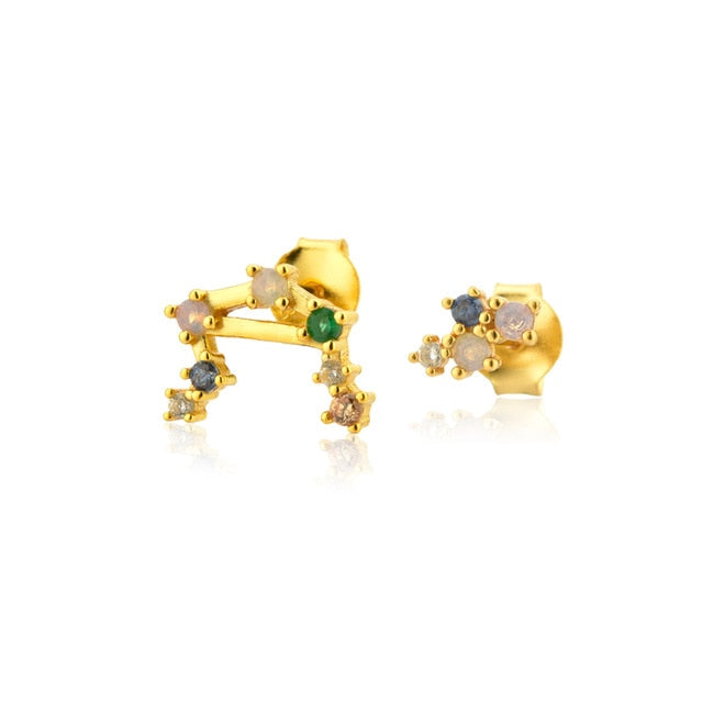 Colorful Zodiac Earrings 