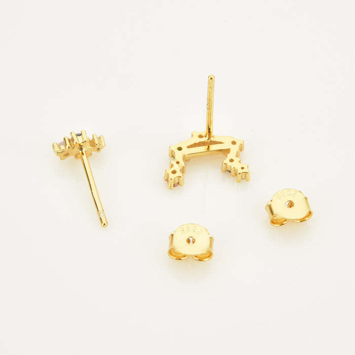 Colorful Zodiac Earrings 