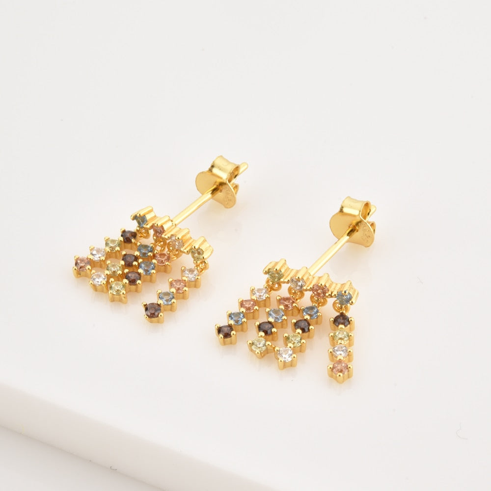 Multi Elegant Earrings 