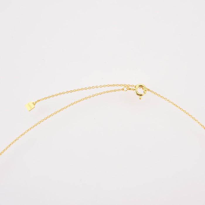 Silver Revenge Necklace